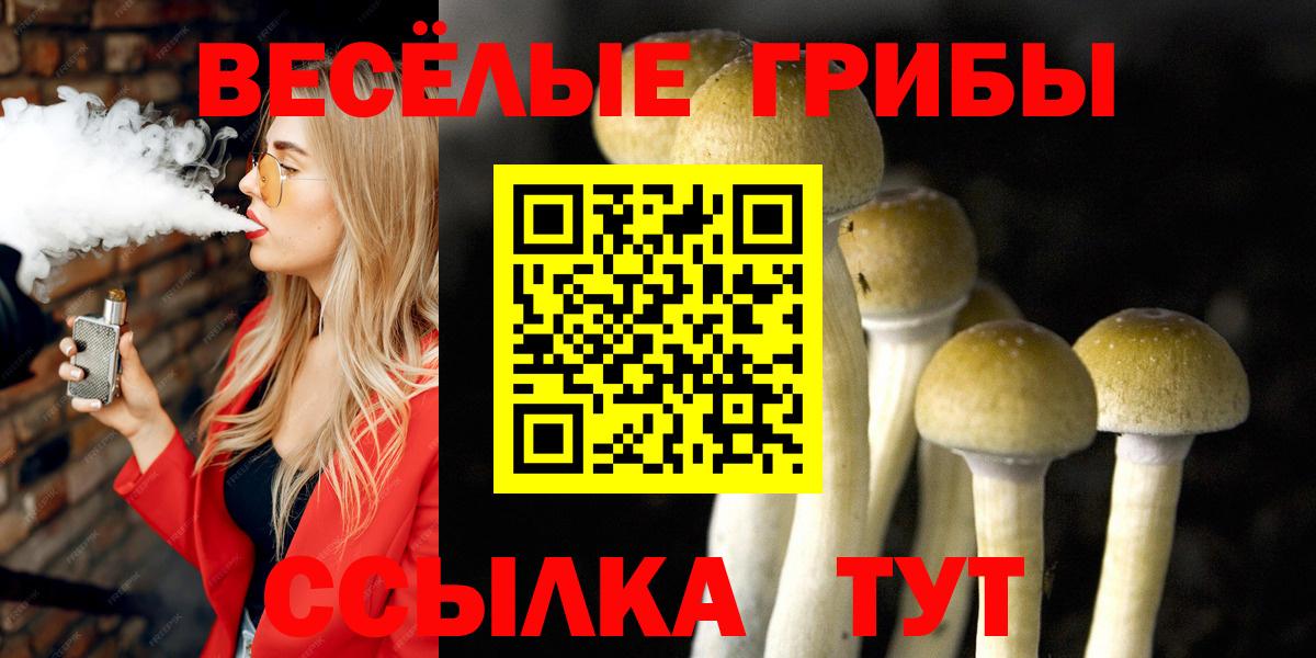 Майкоп  Псилоцибиновые грибы MAGIC MUSHROOMS  Вход с VPN 